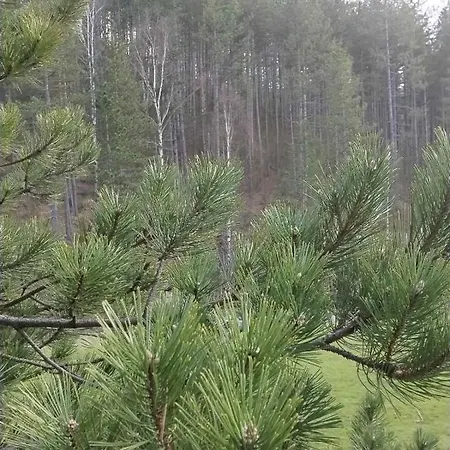 My Time * זלאטיבור